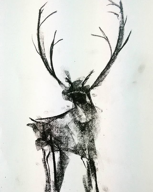 Stag — charcoal original by Mari Kavanagh