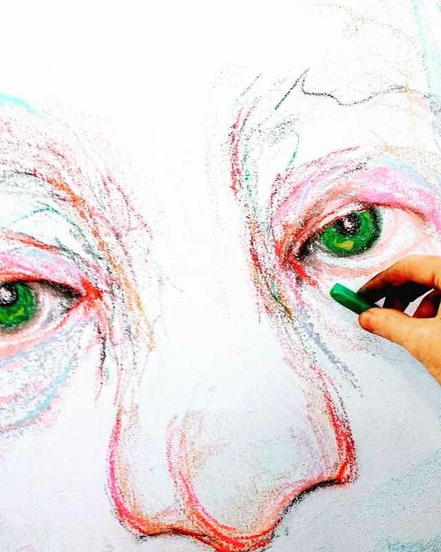 The Face Behind the Mask — Dionne Williams